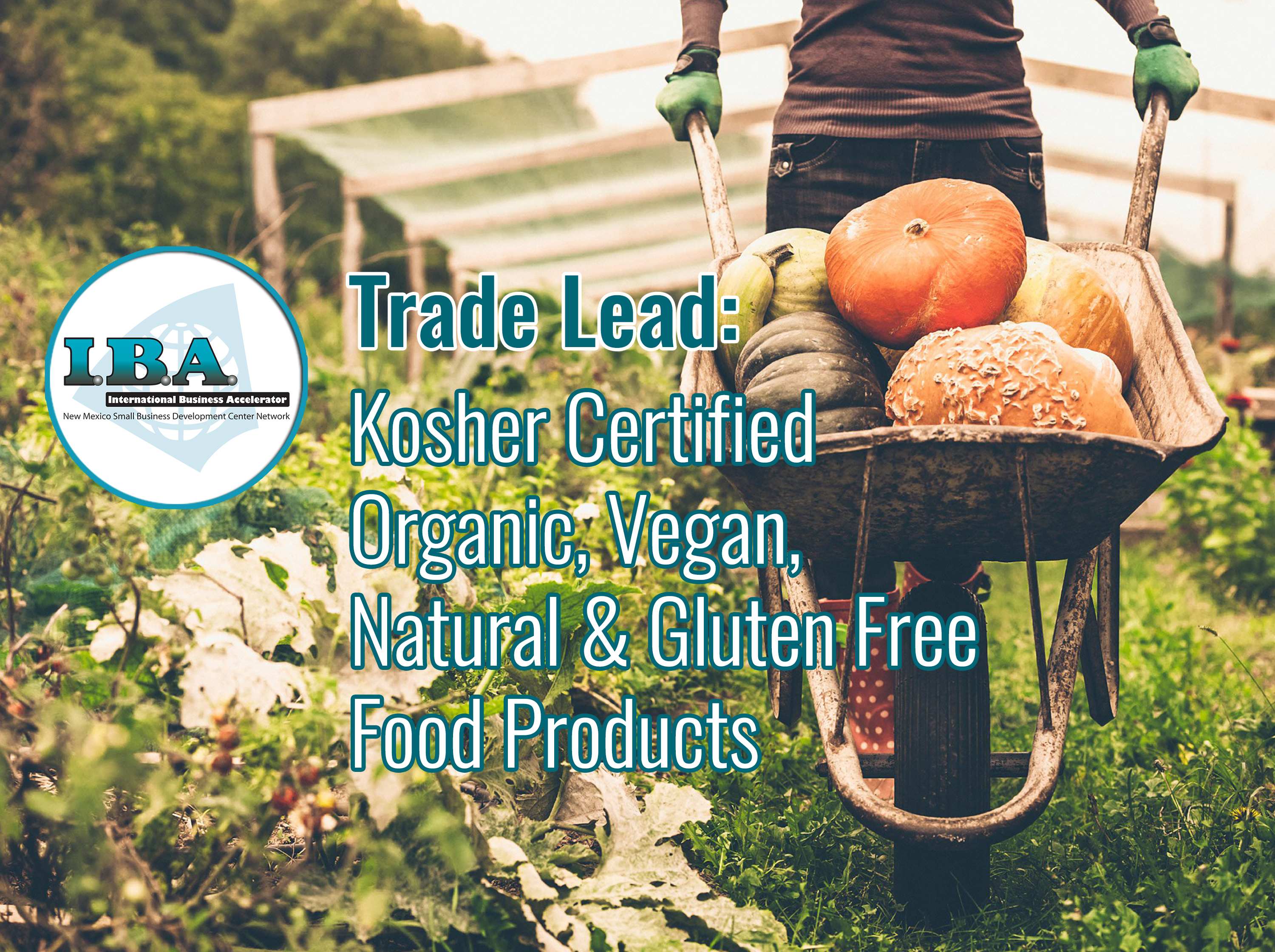 Trade Lead – Kosher, Organic, Vegan, Natural & Gluten Free Food Products
