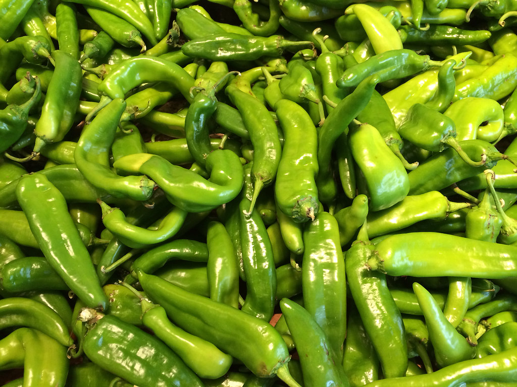 November 2019 – World Famous Hatch Chile November 2019 – World Famous Hatch Chile